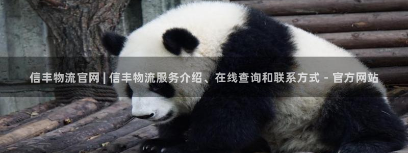 28圈登录网
