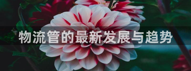 28圈ccm游戏