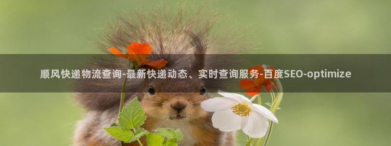 28圈入口问一问