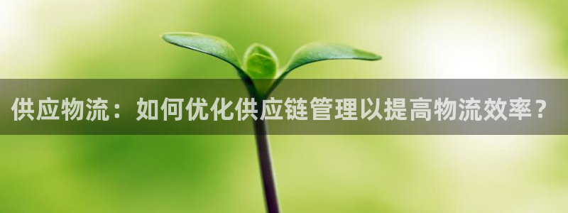 28圈模拟器