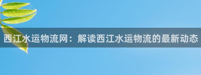 28圈加拿大28