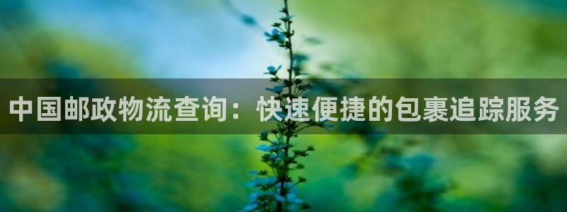 28圈头像