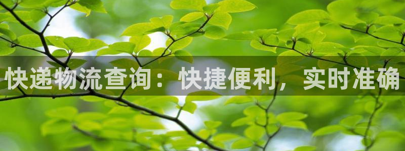 28圈注册网站APP
