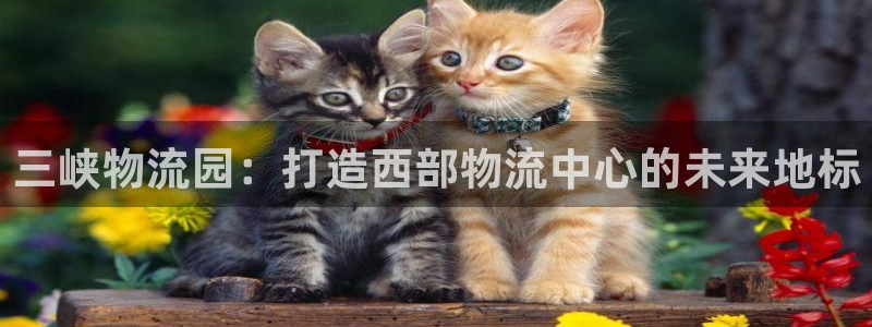 28圈提现不到账