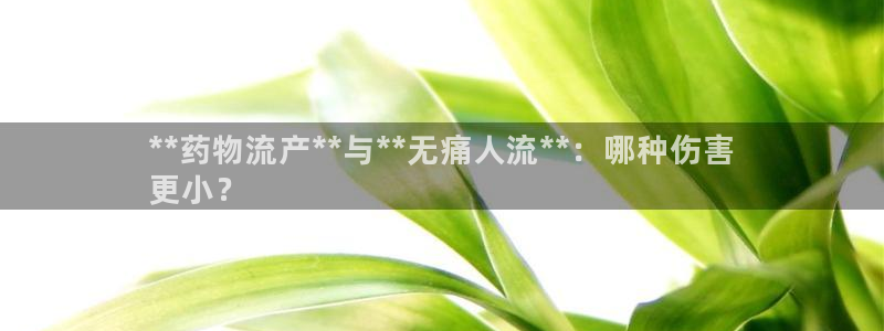 28圈模拟器下载