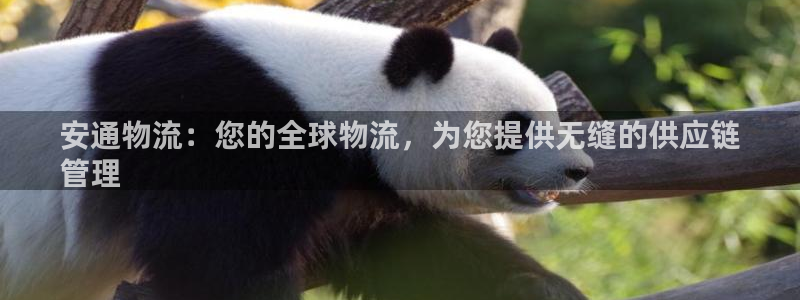 28圈为什么打不开