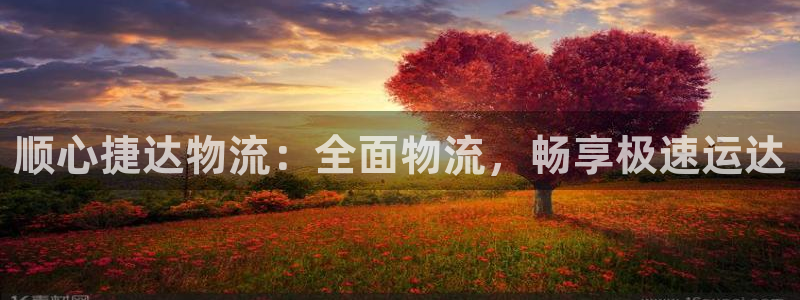 28圈是正规平台吗