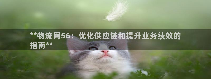 28圈推广链接是多少钱一个