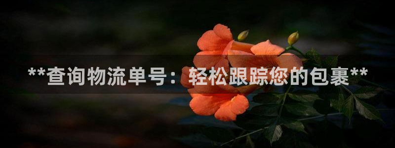 28圈官网开奖结果预测查询
