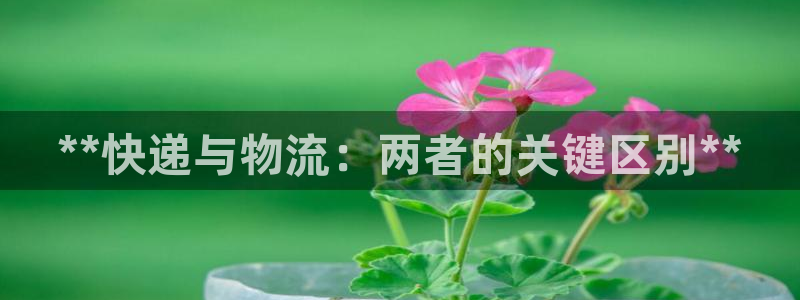 28圈网赌有什么风险