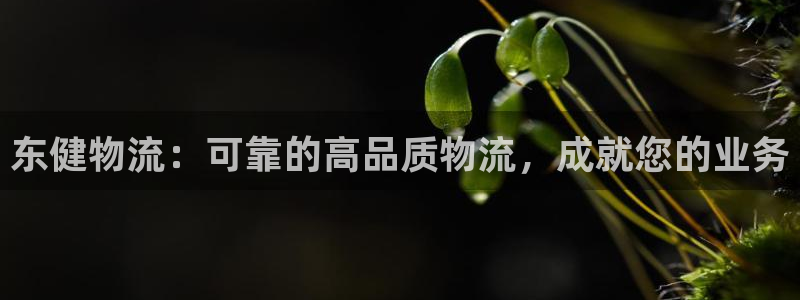 28圈是干嘛的