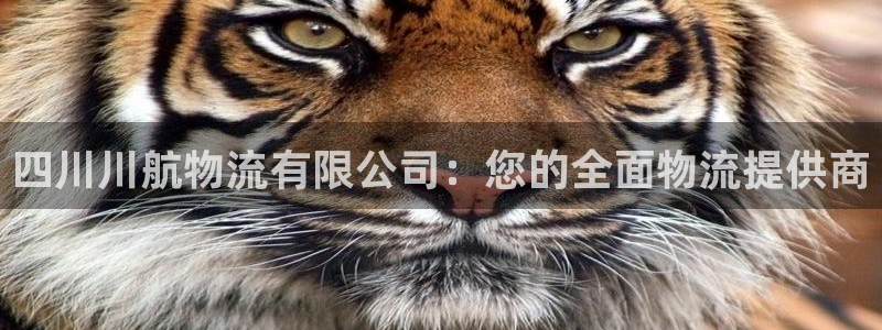 28圈游戏官网平台