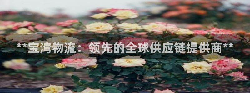 28圈圈助手