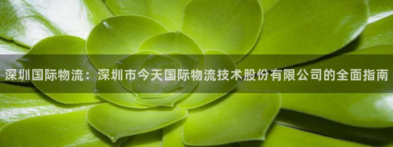 28圈开奖预测