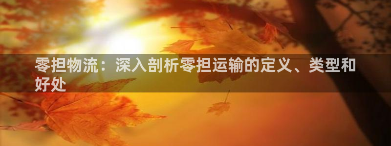 28圈在线预测
