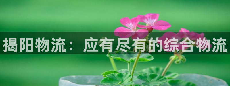 28圈电子