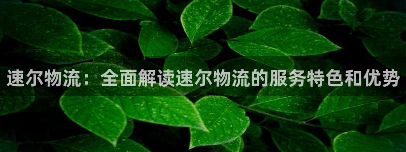28圈能退款吗