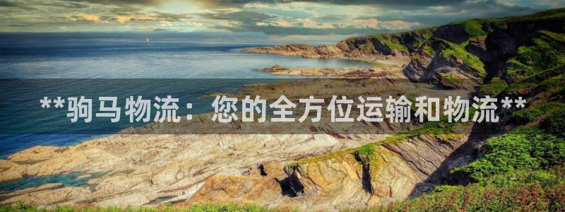 28圈官网平台