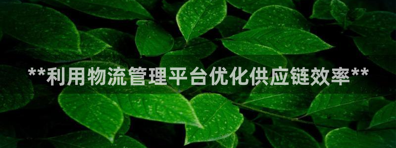 28圈最稳打法