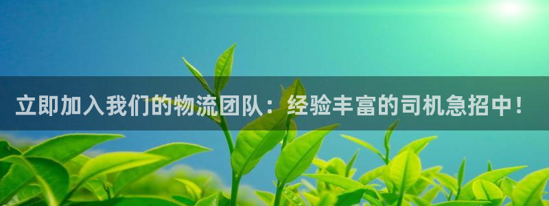 28圈pg麻将胡了2老是空转