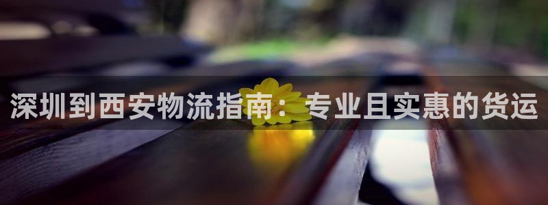 28圈忘记账号