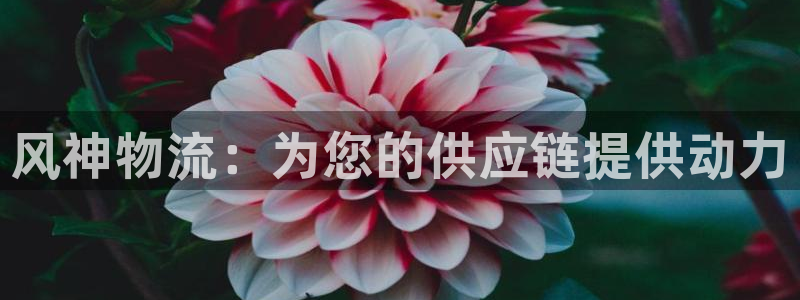 28圈加拿大28