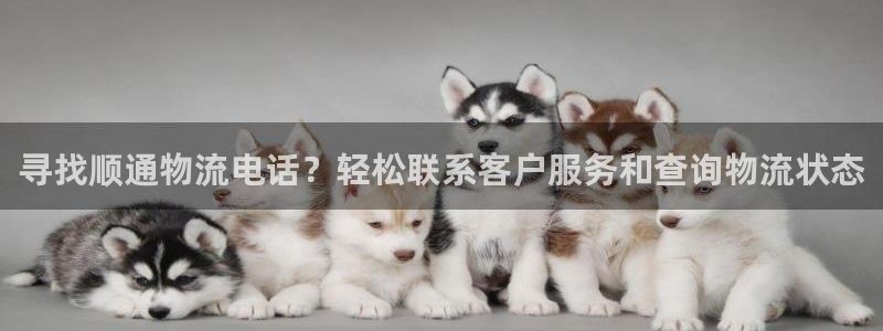 28圈人头费