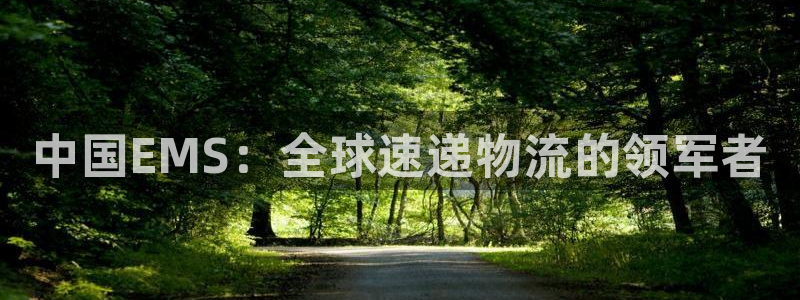 28圈充值不处理会怎么样
