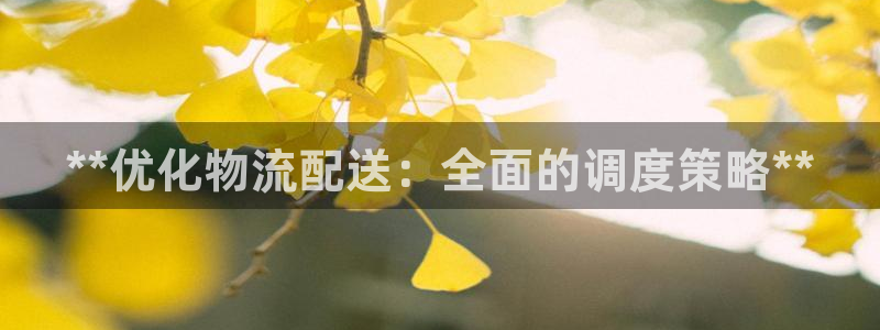 28圈黑钱
