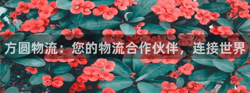28圈.ccmpc预测