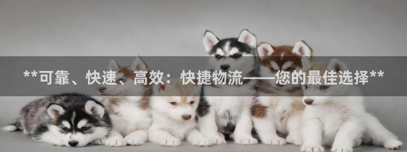 28圈游戏