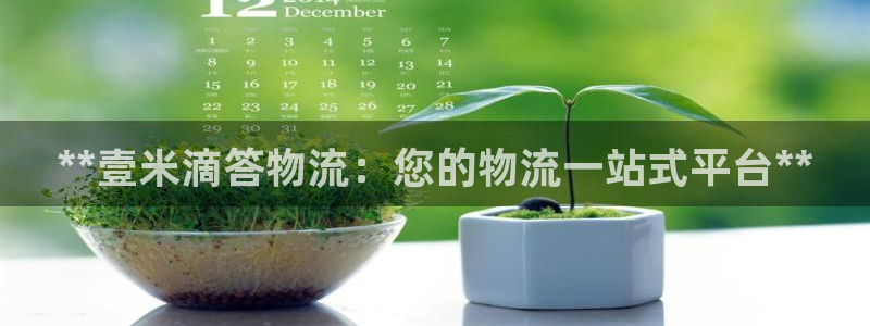28圈.ccm正版