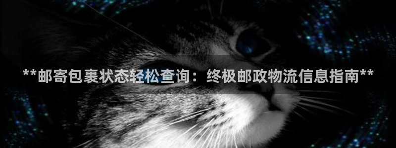 28圈网赌有什么风险