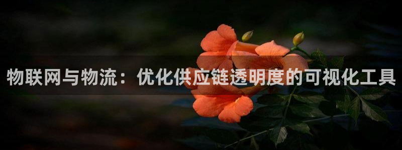28圈官方网站是多少