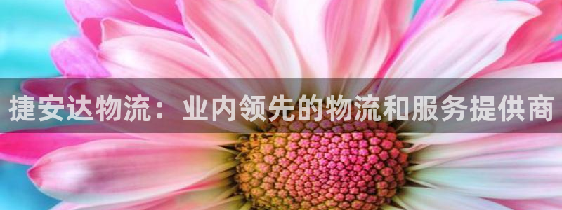 28圈app赢了500万
