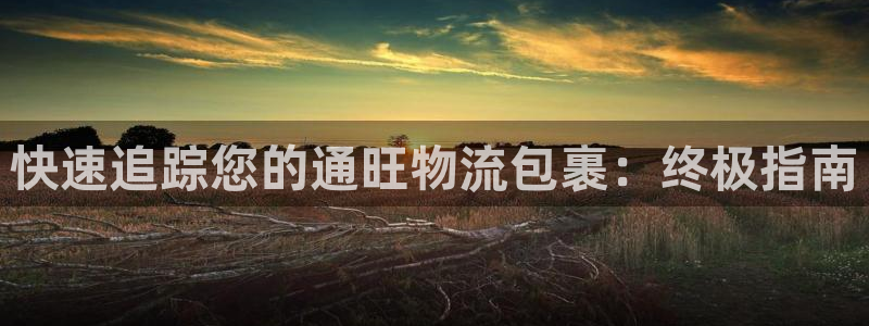 28圈头像