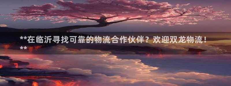 28圈pc预测