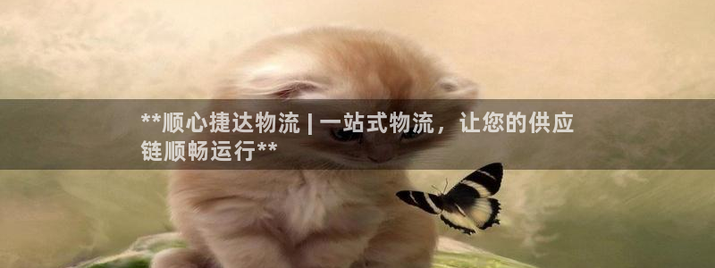 28圈相信品牌的力量