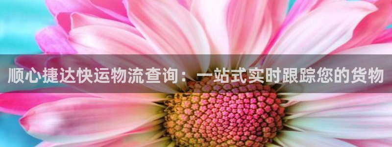 28圈提现不到账