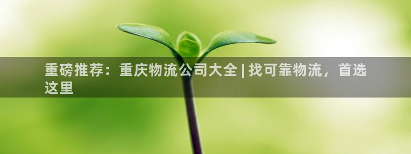 28圈v6能卖多少