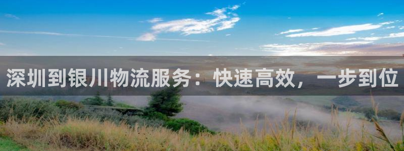 28圈官方版正版