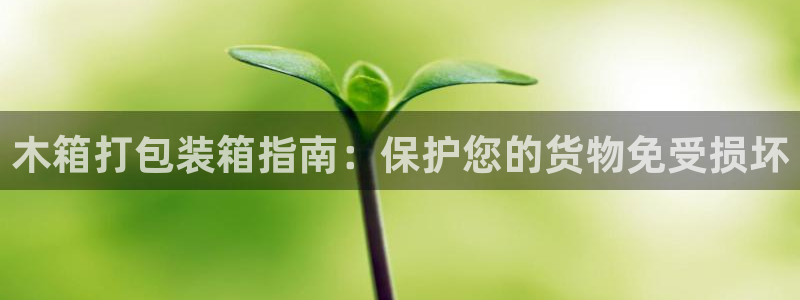 28圈pg如何退钱
