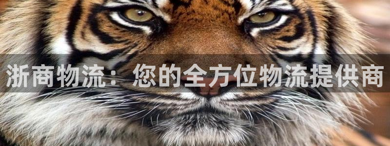 28圈麻将胡了