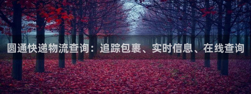 28圈充值不到账什么原因