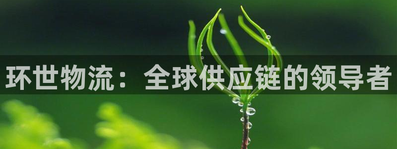 28圈口戒指是多大