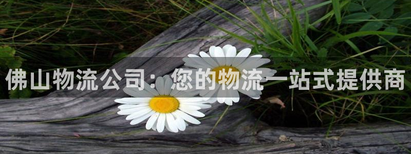 28圈黑不黑
