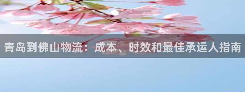 28圈体育下载