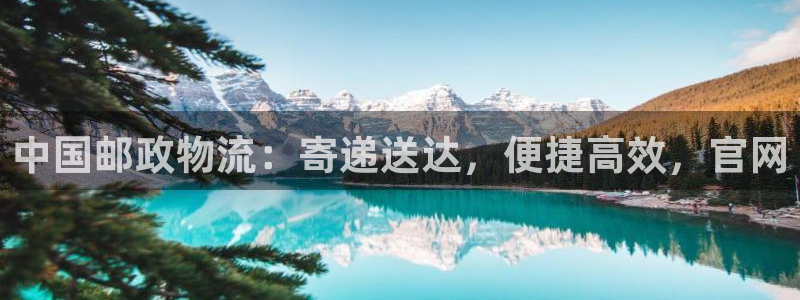 28圈怎么下载教程