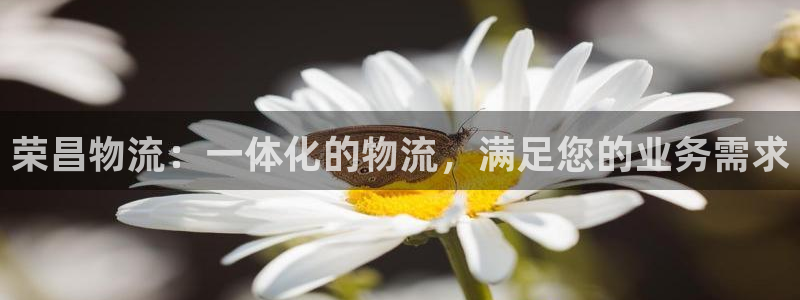 28圈充值方式