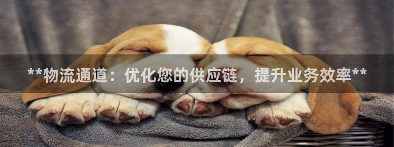 28圈模拟器